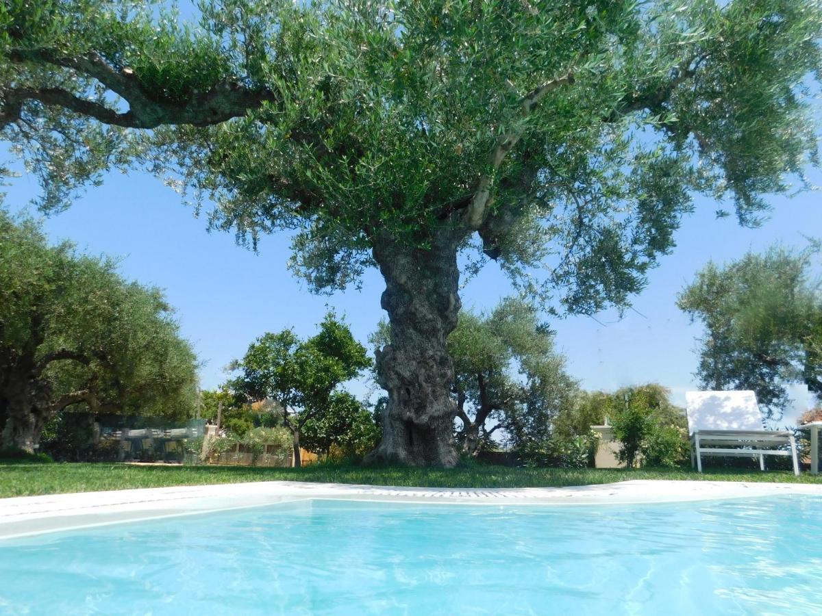 Hotel Orea Superior Kypseli